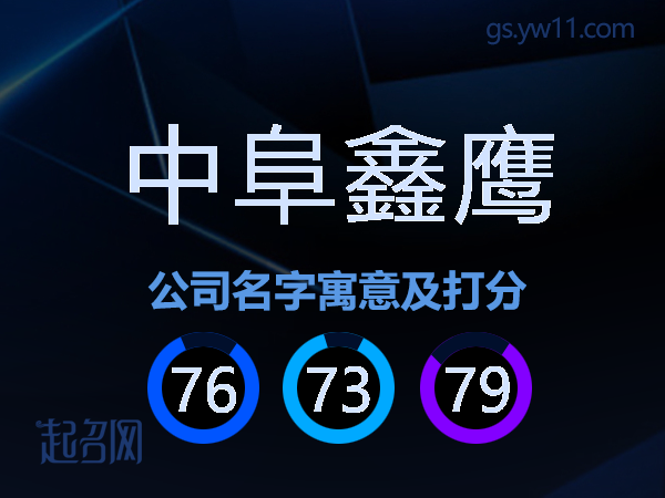 中阜鑫鹰公司名字寓意及打分