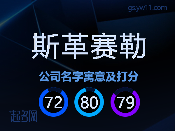 斯革赛勒公司名字寓意及打分
