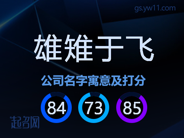 雄雉于飞公司名字寓意及打分