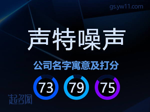 声特噪声公司名字寓意及打分