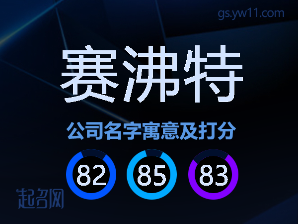 赛沸特公司名字寓意及打分