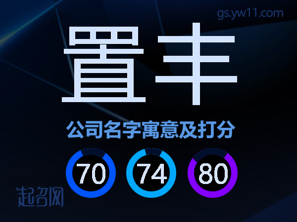 置丰公司名字寓意及打分