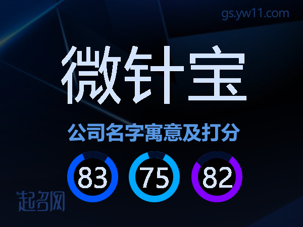 微针宝公司名字寓意及打分