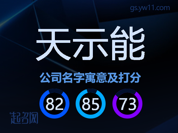 天示能公司名字寓意及打分