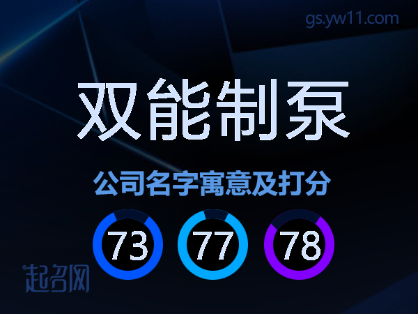双能制泵公司名字寓意及打分