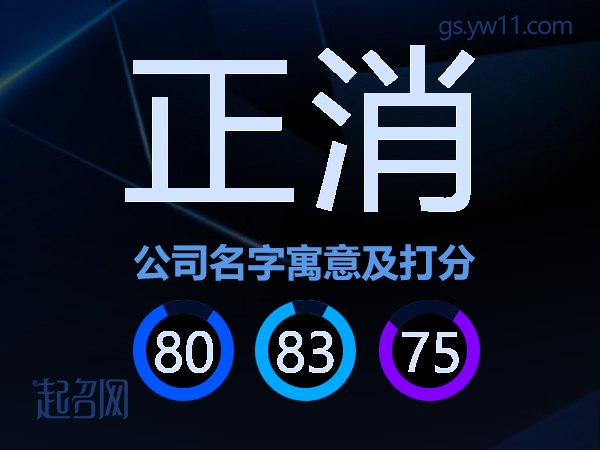 正消公司名字寓意及打分