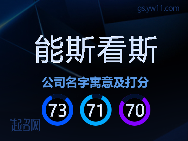能斯看斯公司名字寓意及打分