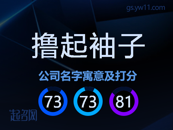 撸起袖子公司名字寓意及打分