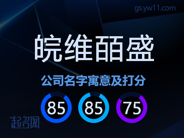 皖维皕盛公司名字寓意及打分