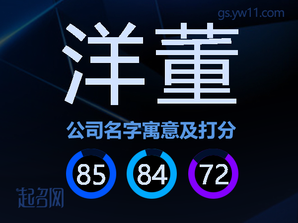 洋董公司名字寓意及打分