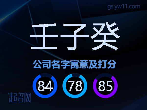 壬子癸公司名字寓意及打分