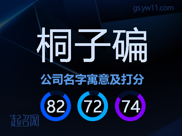 桐子碥公司名字寓意及打分